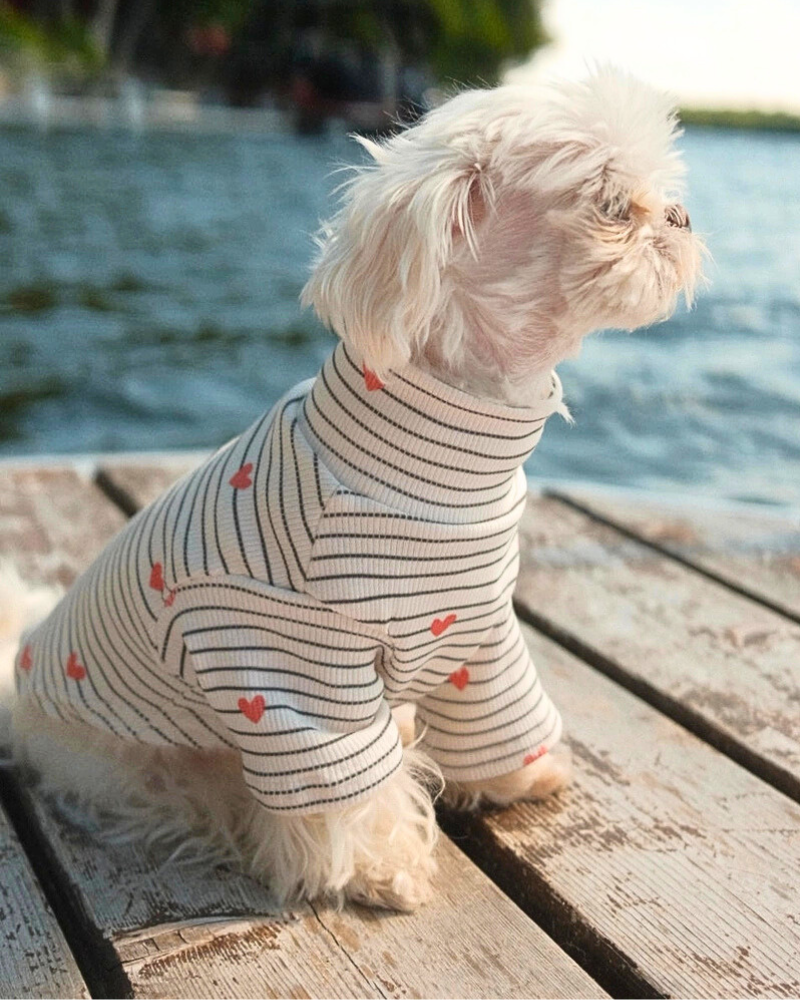 Aveline Striped Heart Dog Pullover Wear LIL.CO   