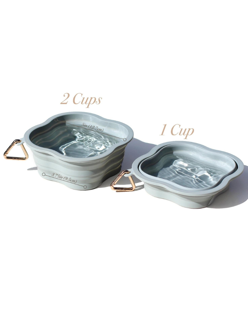 Collapsible Silicone Water Bowl EAT BOP POP PETS   