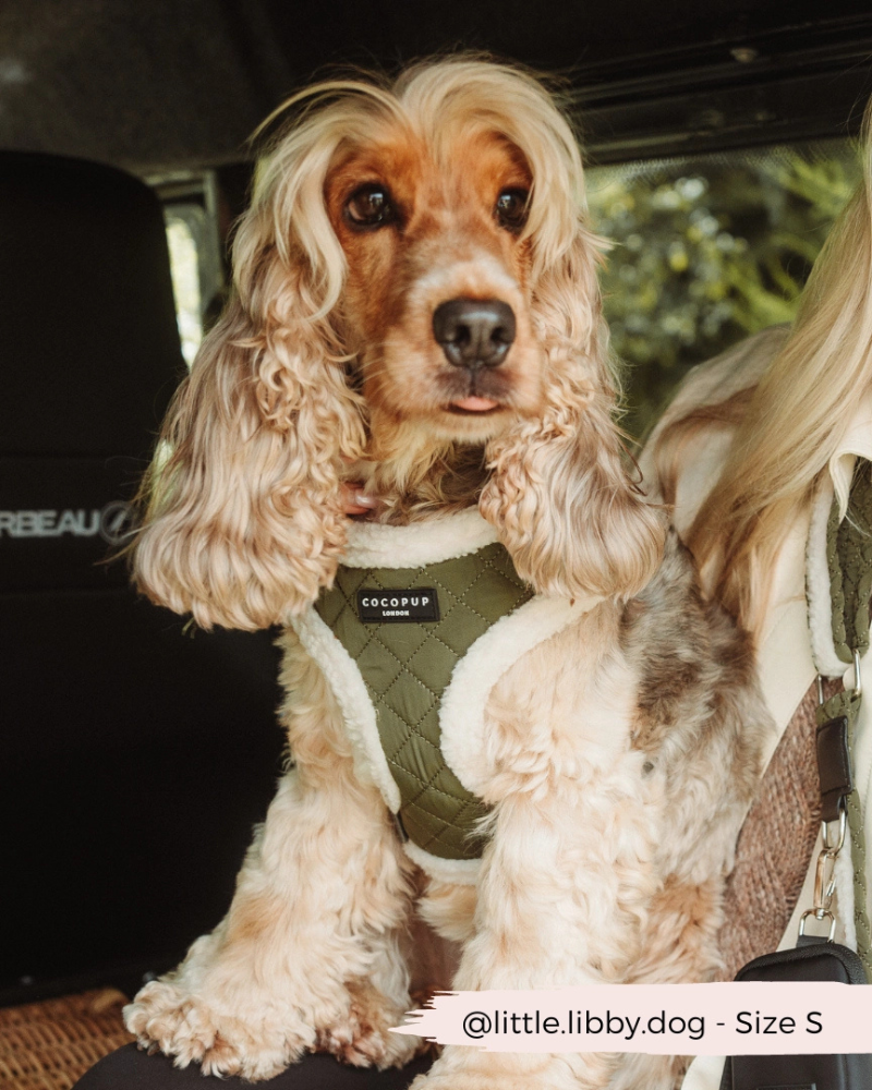 Quilted Adjustable Dog Harness in Khaki WALK COCOPUP LONDON