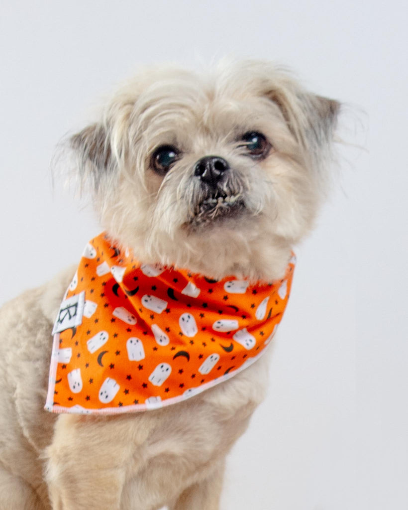 "Boo-Tiful Nights" Orange Ghosts Halloween Dog Bandana (Made in the USA) Wear BONEYARD CO.   