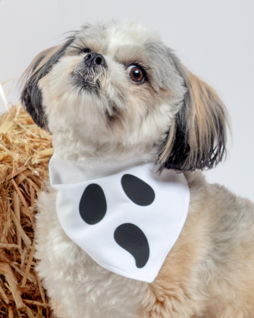 "Scream" Halloween Ghost Dog Bandana (Made in the USA) wear BONEYARD CO.   