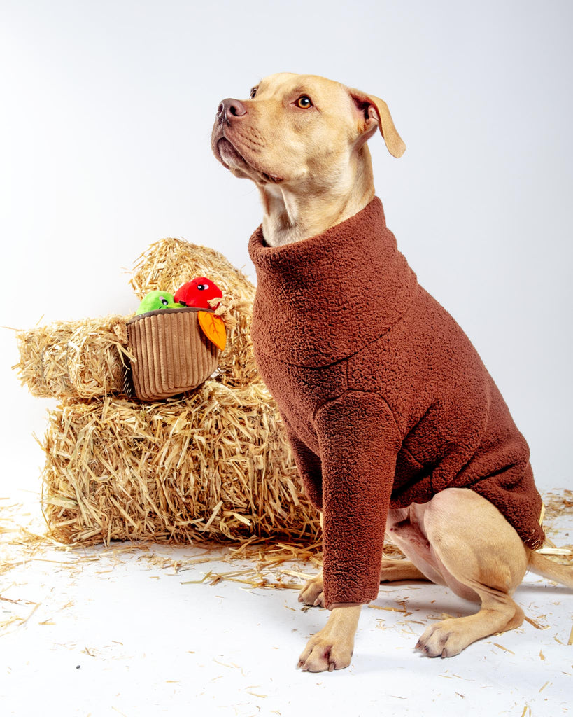 The Magic Brownie Fleece Dog Sweatshirt Wear LITTLE BEAST   