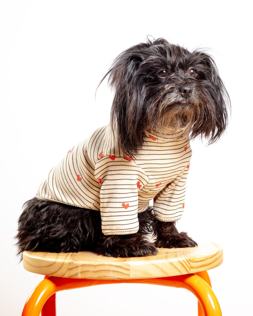 Aveline Striped Heart Dog Pullover Wear LIL.CO