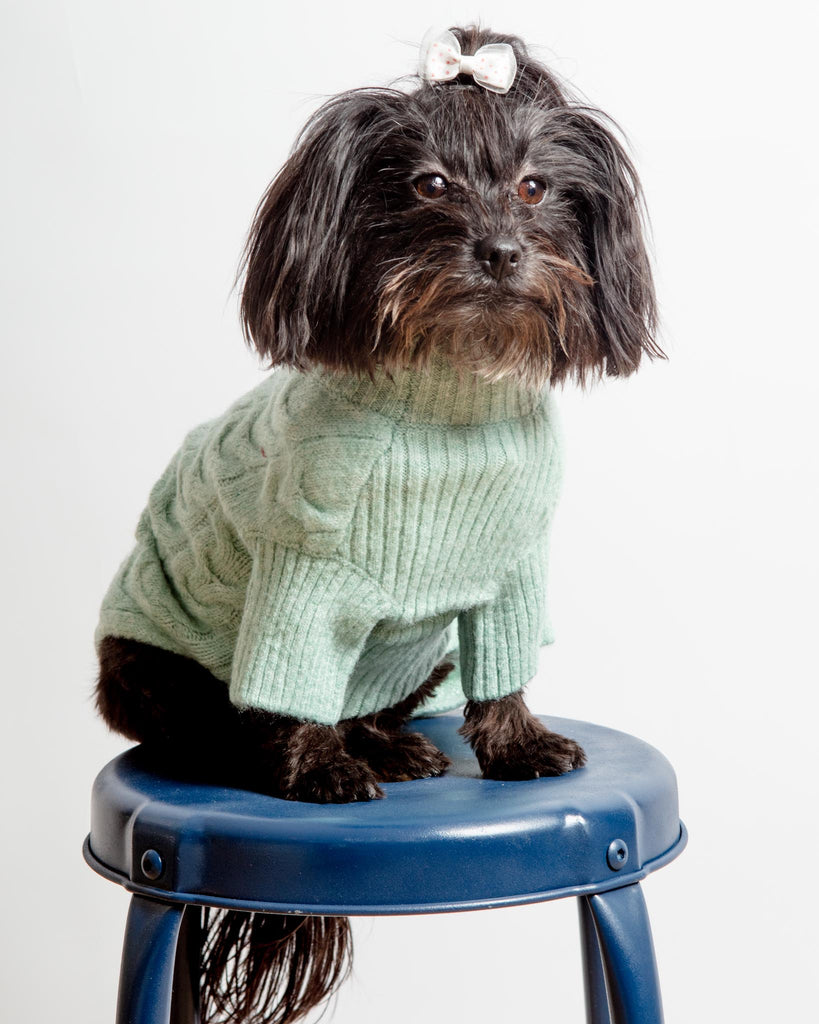 Fuzzy Knit Dog Turtleneck Sweater in Soft Mint Wear BLUEBERRY PET