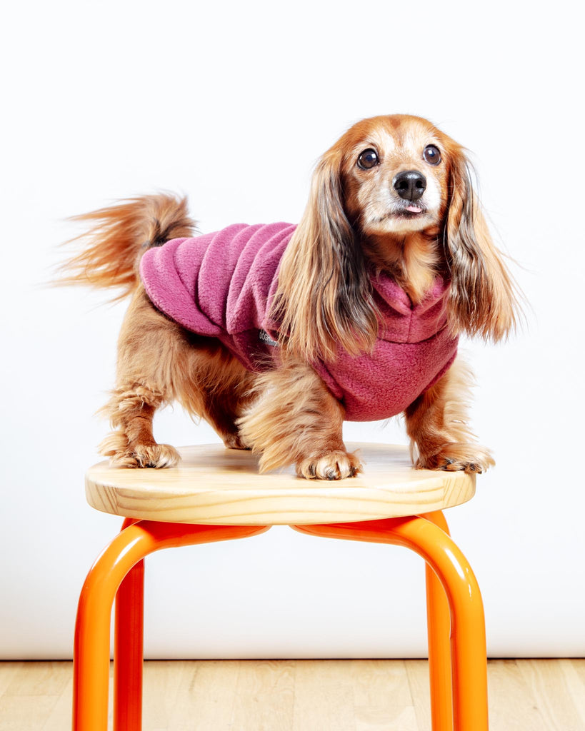 Dachshund Fleece Jumper in Dusty Rose (Made in the UK) Wear DOGHOUSE