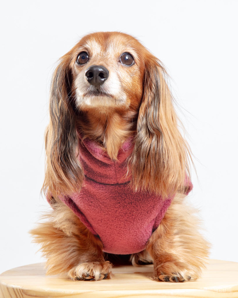 Dachshund Fleece Jumper in Dusty Rose (Made in the UK) Wear DOGHOUSE