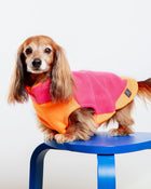 Two-Tone Dog Fleece Jumper (Made in the UK)