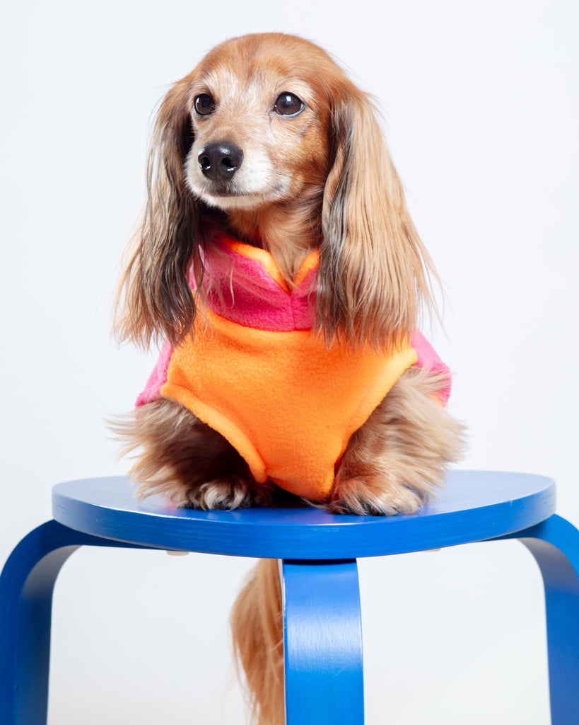 Two-Tone Dog Fleece Jumper (Made in the UK) Wear DOGHOUSE