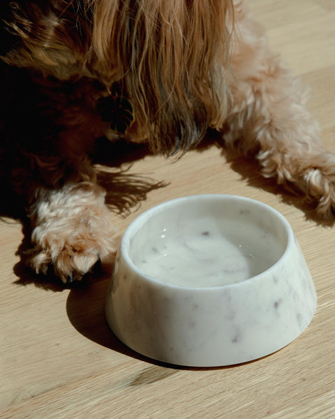 Marble cat bowl sale