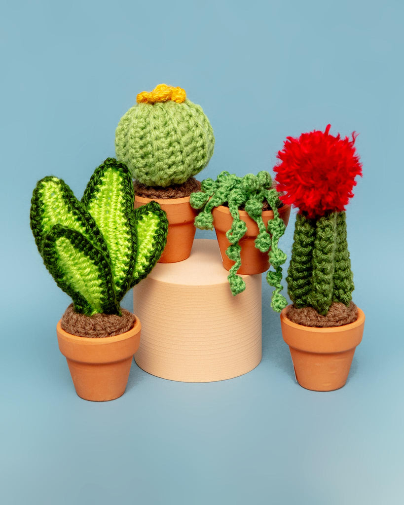 Pet-Safe Crochet Mini Cacti & Succulents (Made in the USA) HOME ROSEMARY'S BABY MEK