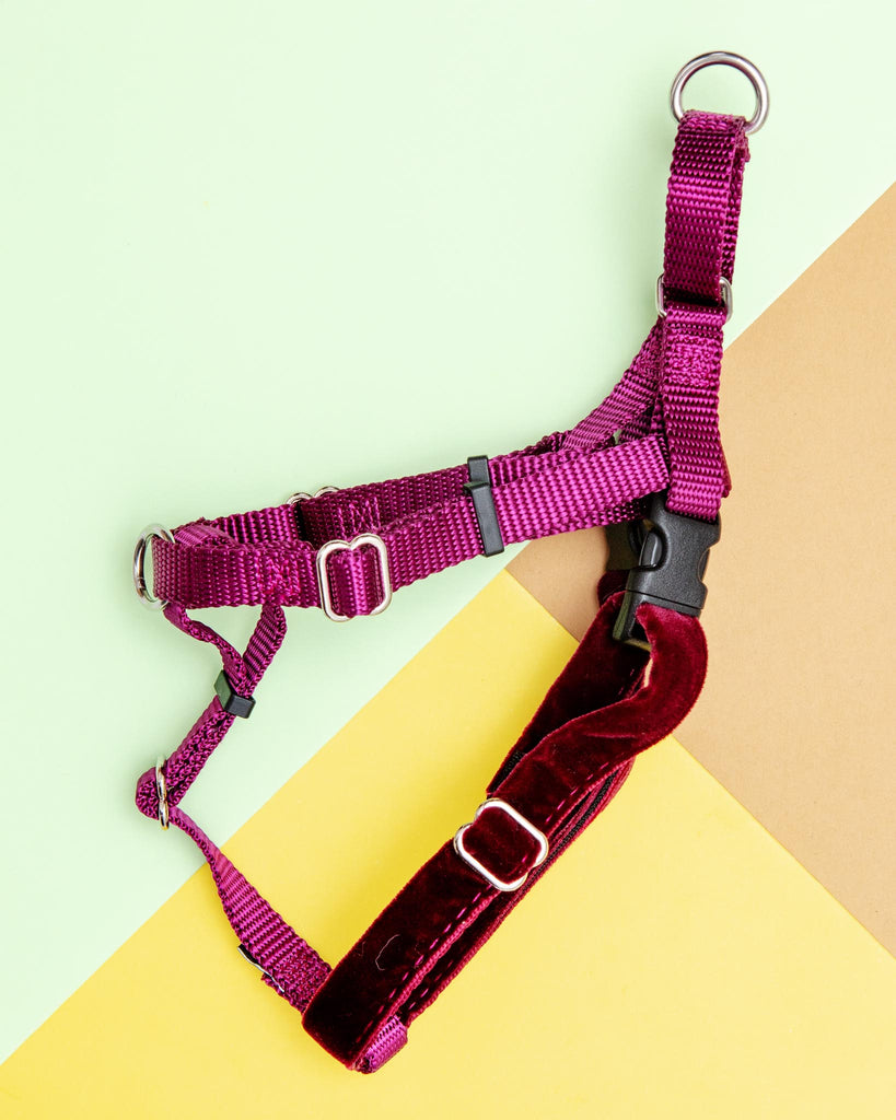 Freedom No-Pull Harness in Burgundy (Made in the USA) WALK 2 Hounds Design