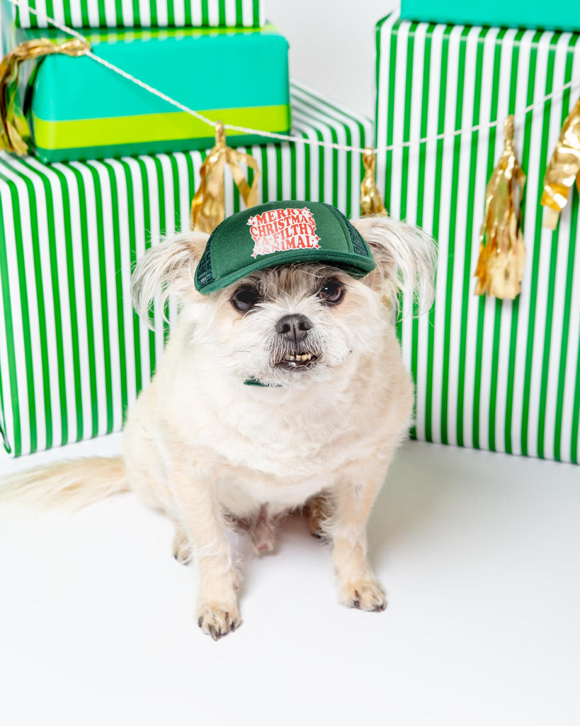 Ya Filthy Animal Holiday Pet Trucker Hat (DOG & CO. EXCLUSIVE) Wear PUPLID