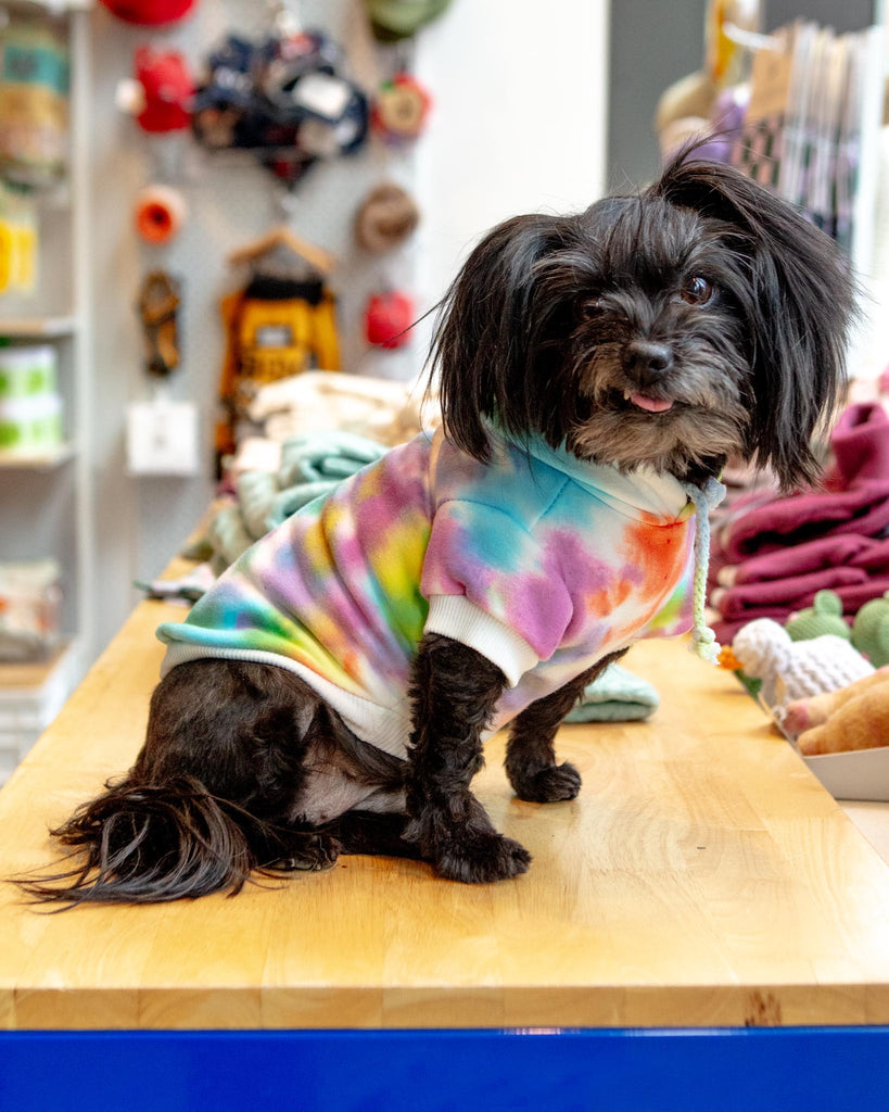 Tie Dye Dog Hoodie in Pastel Rainbow Wear SHANNA'S TIE DYE