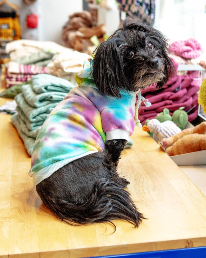 Tie Dye Dog Hoodie in Pastel Rainbow Wear SHANNA'S TIE DYE