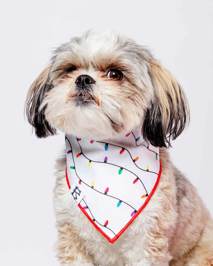 Howliday Lights Christmas Bandana for Dogs Wear BONEYARD CO.