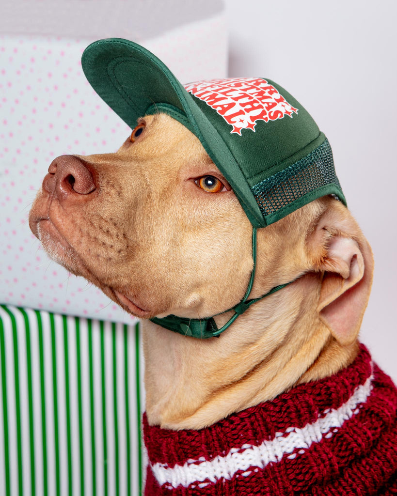 Ya Filthy Animal Holiday Pet Trucker Hat (DOG & CO. EXCLUSIVE) Wear PUPLID