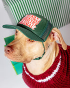 Ya Filthy Animal Holiday Pet Trucker Hat (DOG & CO. EXCLUSIVE)