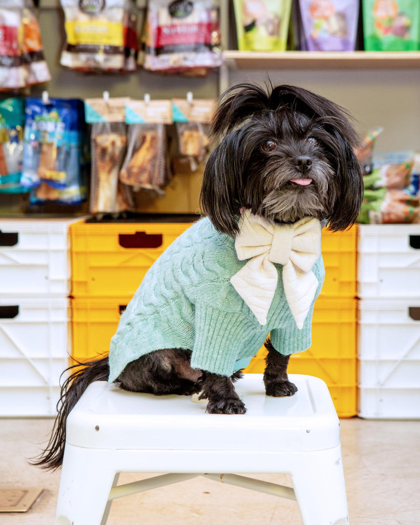 Fuzzy Knit Dog Turtleneck Sweater in Soft Mint Wear BLUEBERRY PET