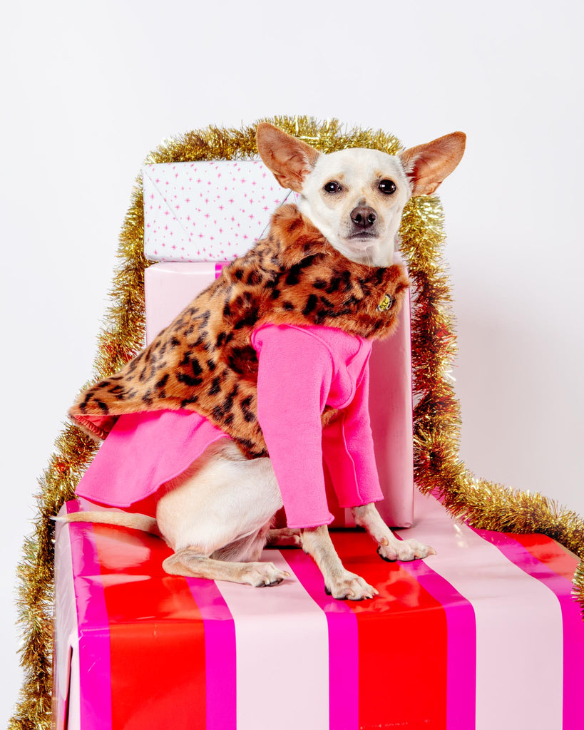 Luxe Leopard Faux Fur Dog Jacket (FINAL SALE) Wear UPCOUNTRY