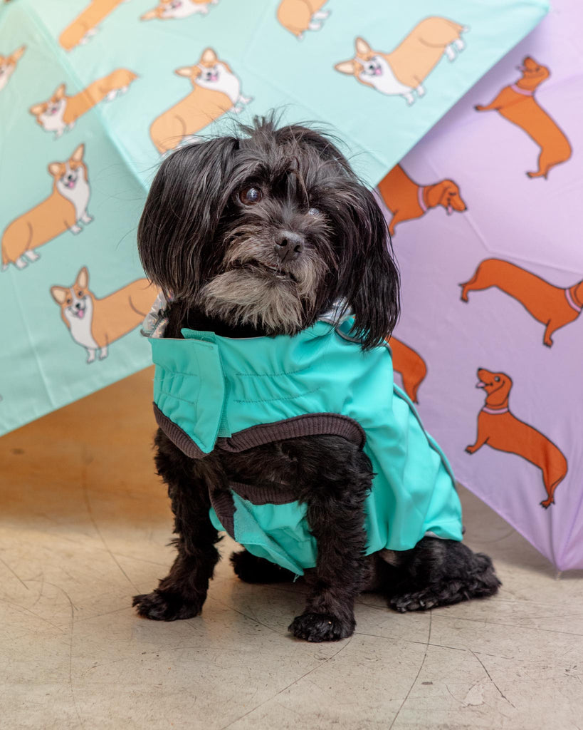 Reversible Waterproof Dog Raincoat in Iridescent + Turquoise Wear GF PET