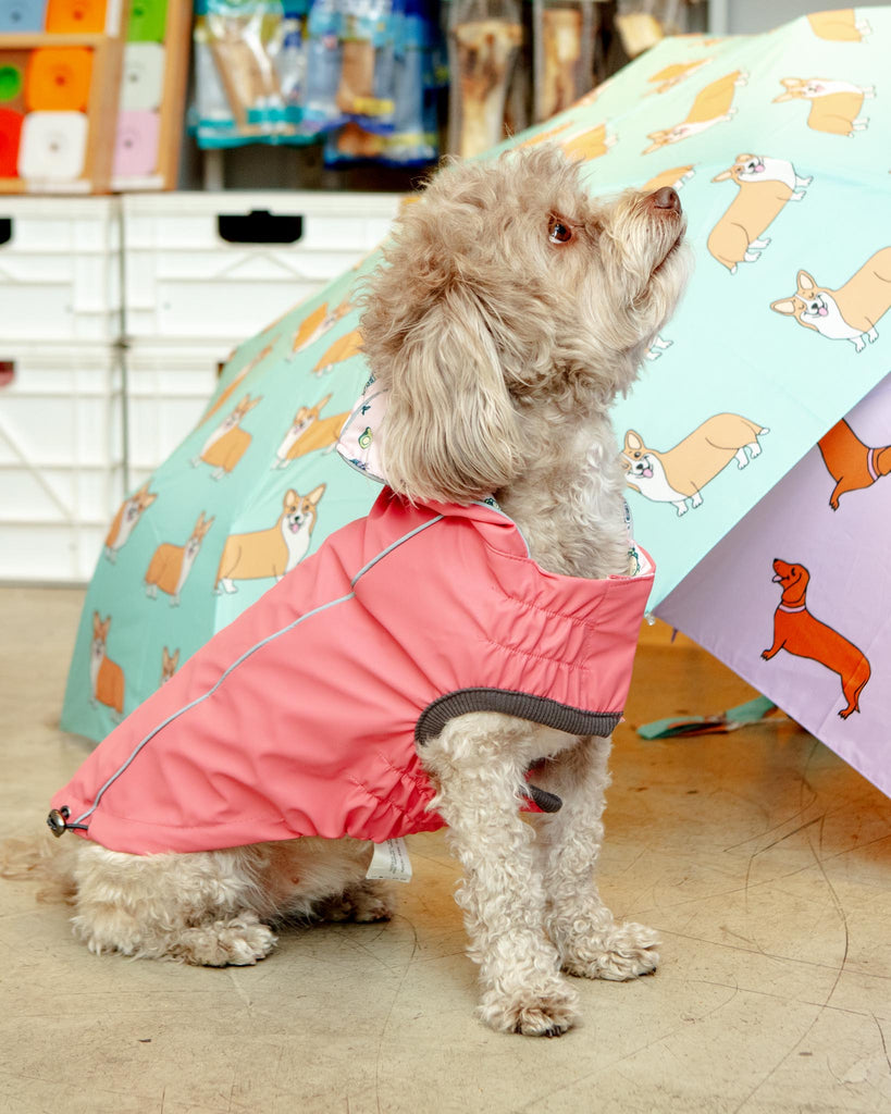 Reversible Waterproof Dog Raincoat in Pink Wear GF PET