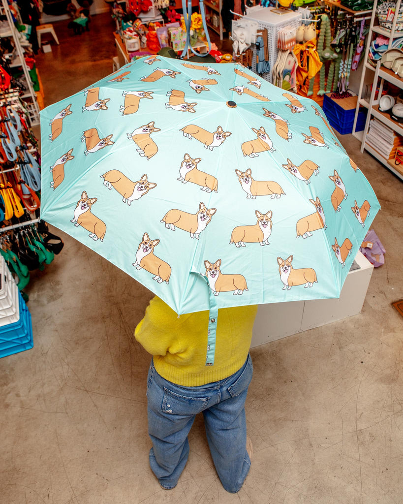 Compact Eco-Friendly Umbrella (in Doxie, Frenchie, Corgi or Matisse) HOME ORIGINAL DUCKHEAD