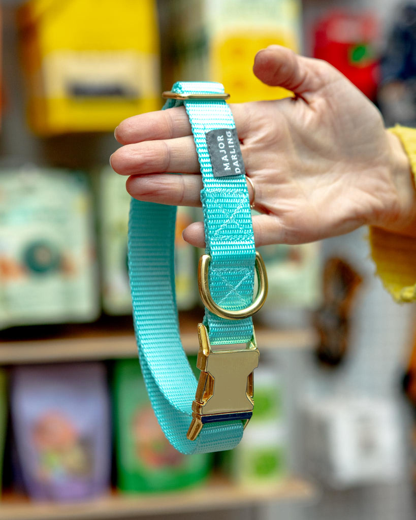 Side-Release Buckle Dog Collar in Aqua (Made in the USA) WALK MAJOR DARLING