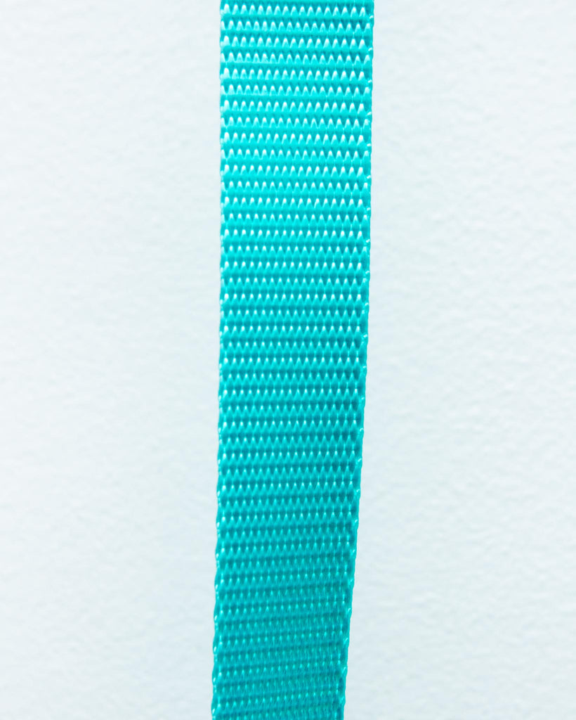 Basic Nylon Dog Leash in Aqua (Made in the USA) WALK MAJOR DARLING