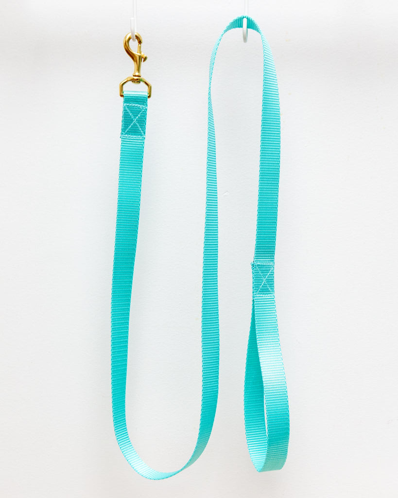 Basic Nylon Dog Leash in Aqua (Made in the USA) WALK MAJOR DARLING