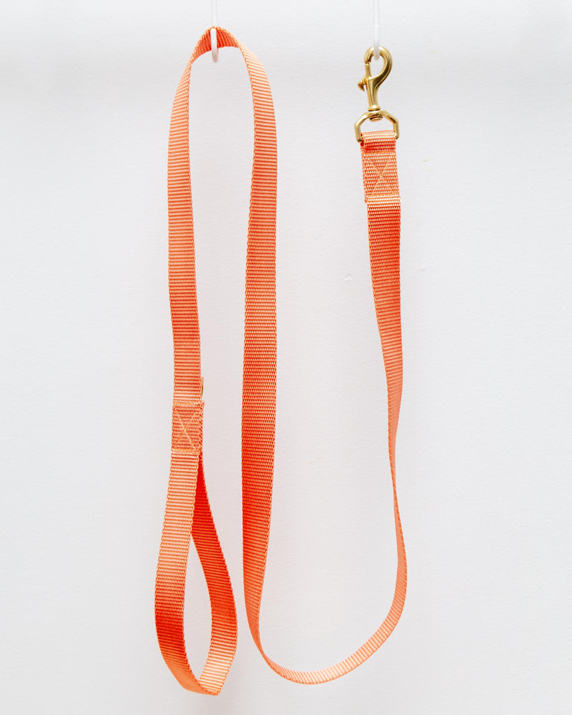 Basic Nylon Dog Leash in Peach (Made in the USA) WALK MAJOR DARLING