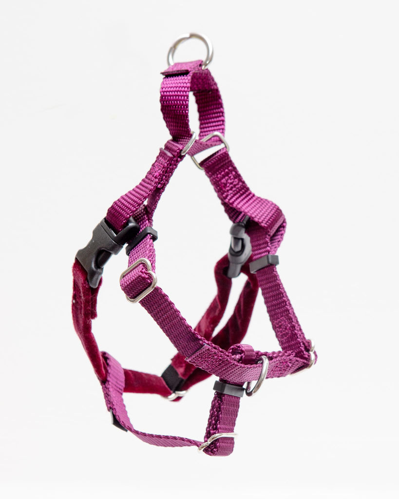 Freedom No-Pull Harness in Burgundy (Made in the USA) WALK 2 Hounds Design