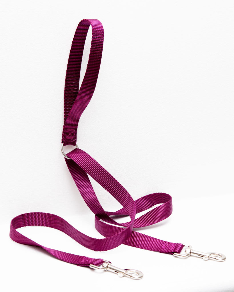 Double Clip Training Leash in Burgundy (Made in the USA) WALK 2 HOUNDS for DOG & CO. (Exclusive)