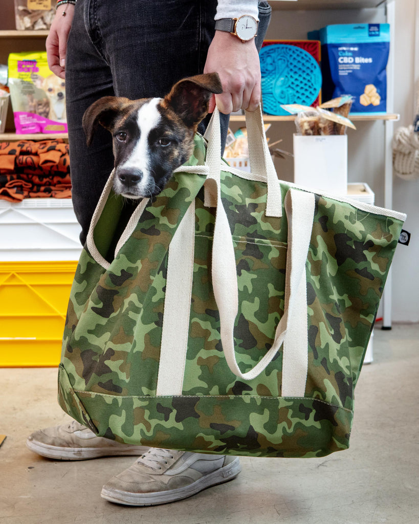 Birdsong Dog & Cat Carrier Large - Designer Tote Travel Pet Carrying P