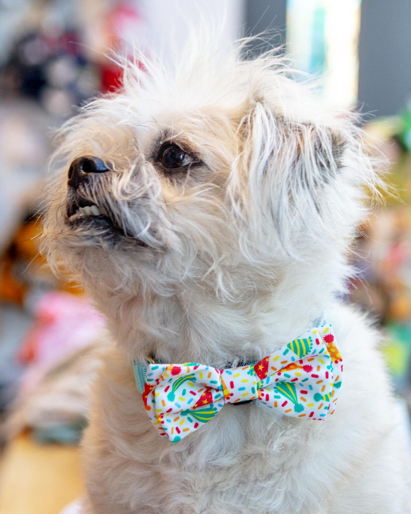 Celebrate Pet Bow Tie Wear THE WORTHY DOG