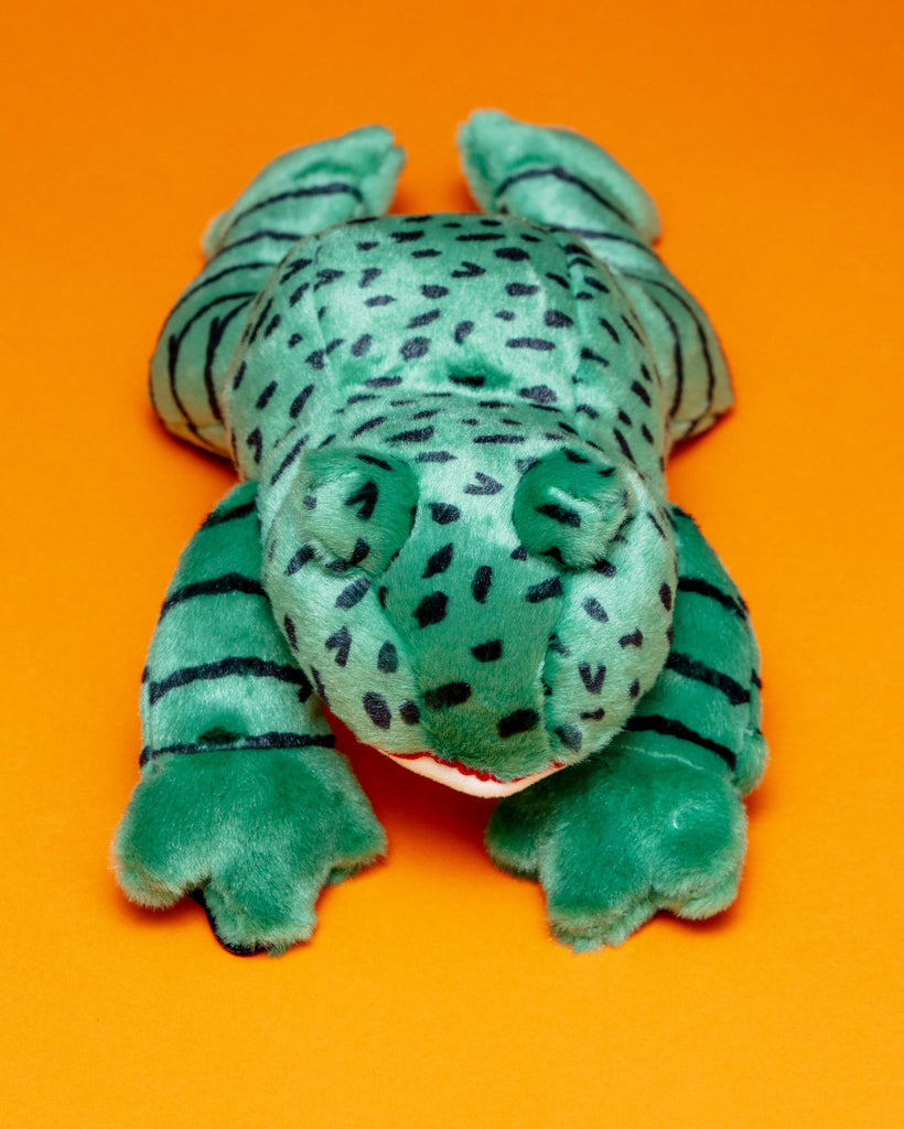 Oliver the Frog Plush Squeaky Dog Toy Play FLUFF & TUFF