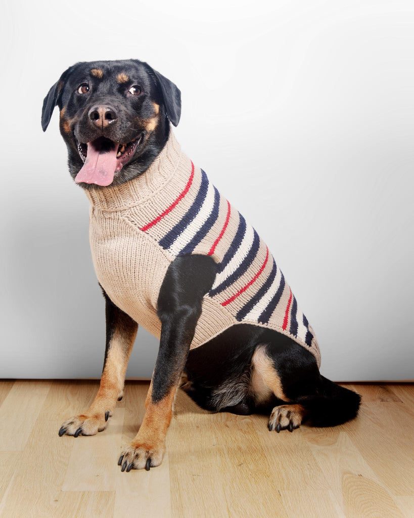 Chilly Dog Charcoal Stripe Sweater Small