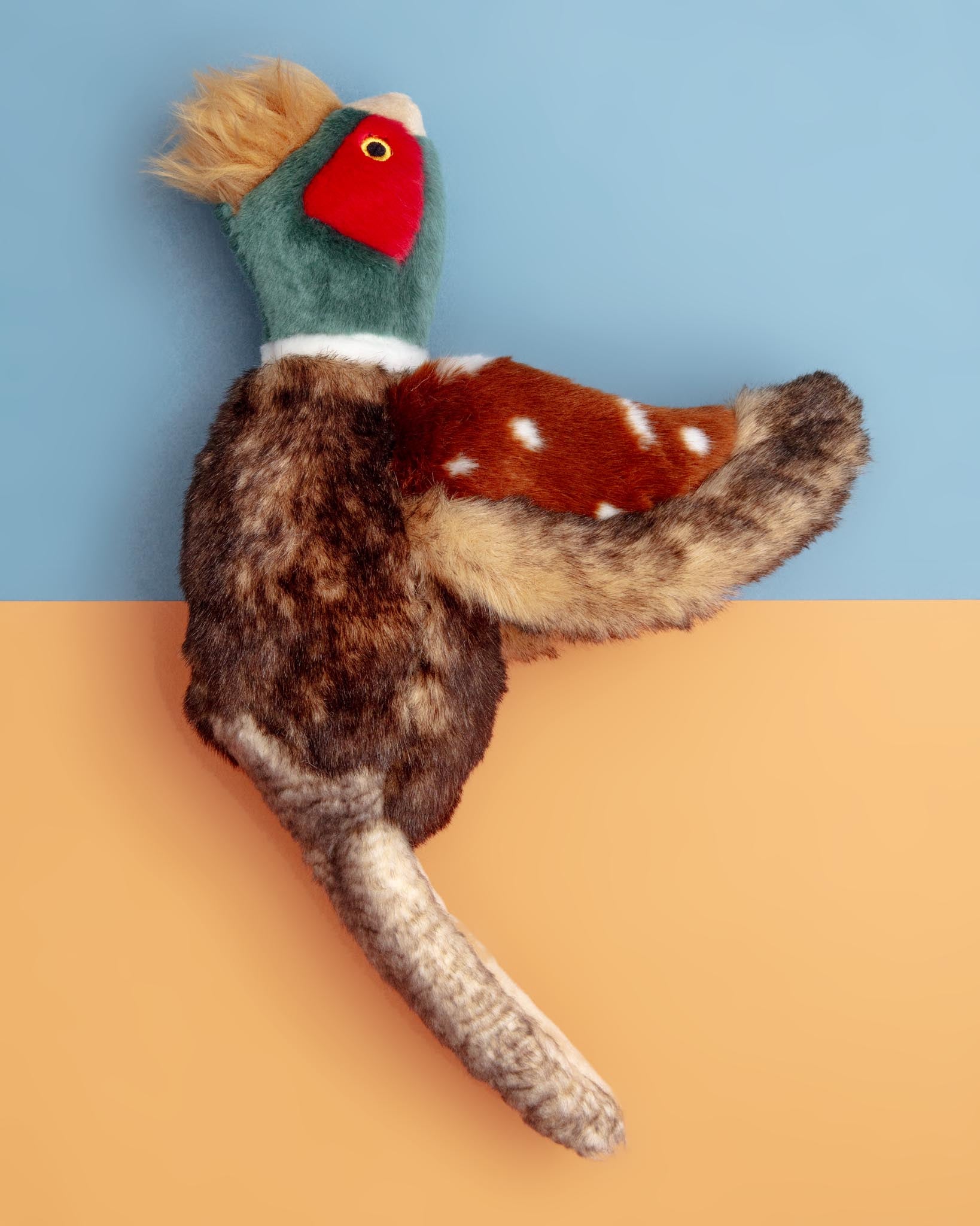 Pheasant dog toy hotsell