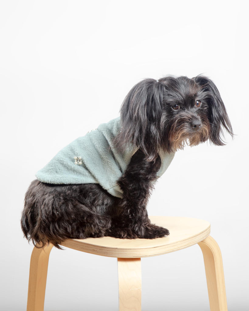 Embellished Fur Dog Vest in Soft Green (FINAL SALE) Wear MIMINKO   