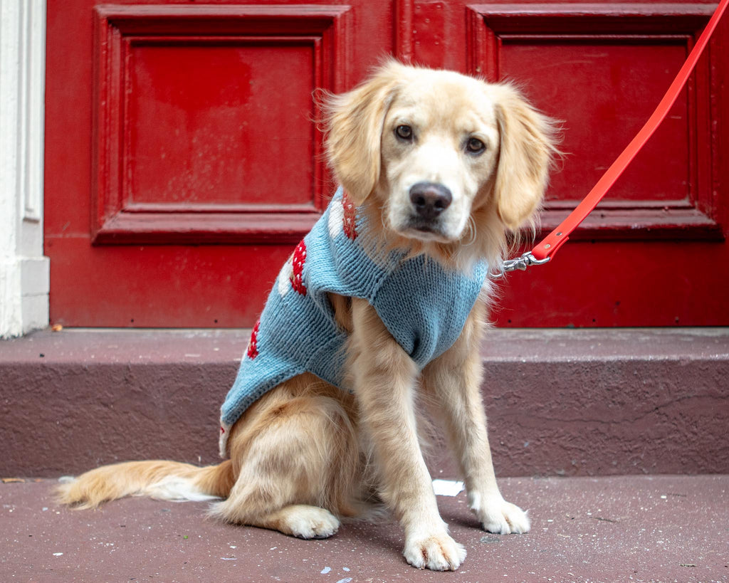 Mushroom Wool Dog Sweater (FINAL SALE) Wear CHILLY DOG