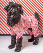 Candy Cane Dog Pajamas