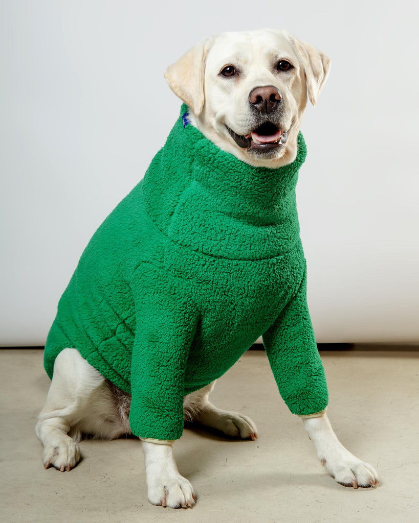 Mary Jane Fleece Dog Sweatshirt (FINAL SALE) Wear LITTLE BEAST   