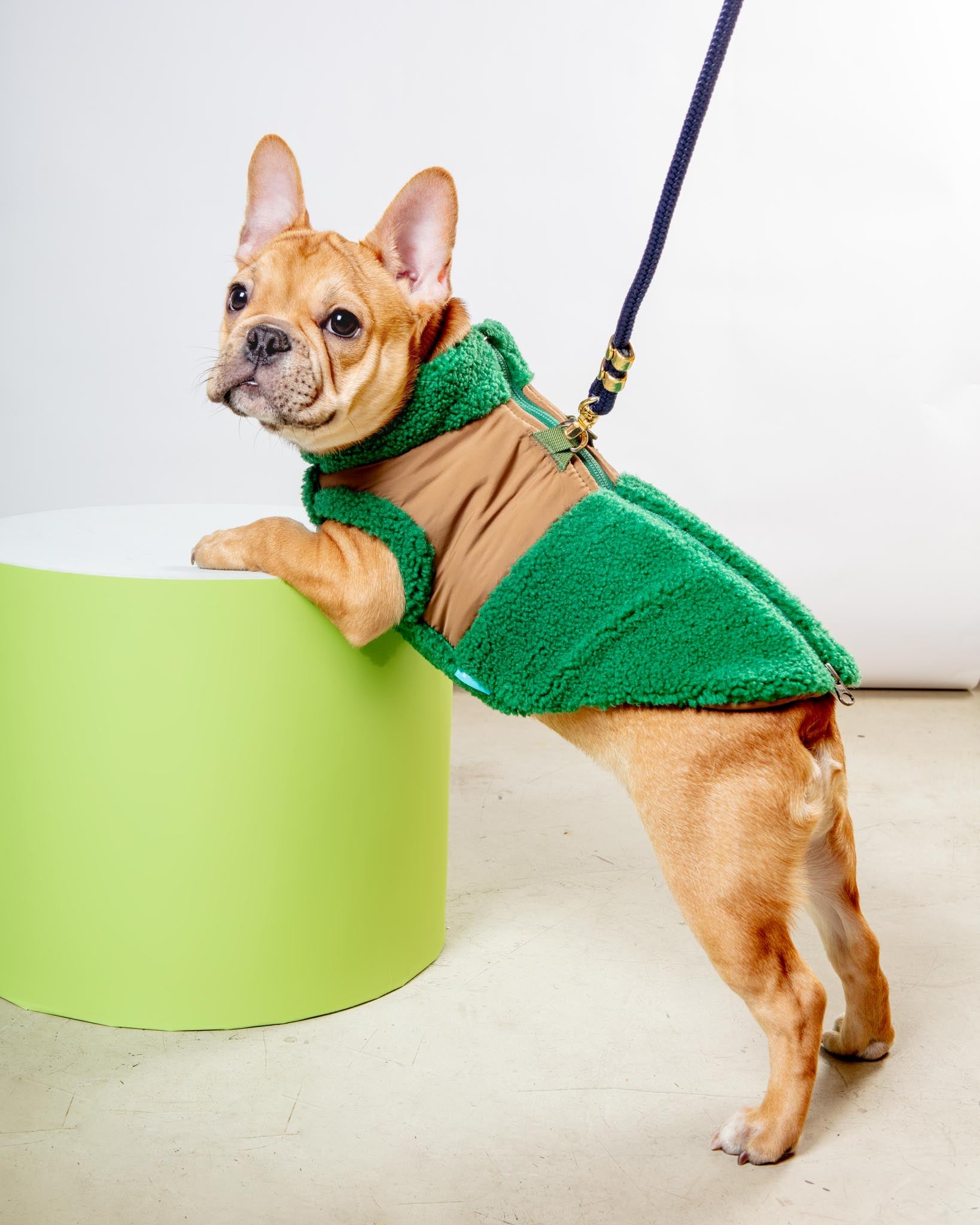 GOOBY Zip Up Sherpa Dog Vest in Forest Green DOG CO