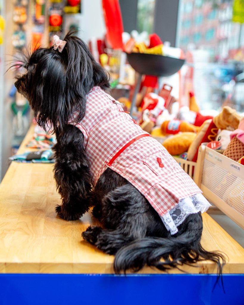 Red Check Picnic Dress for Dogs (FINAL SALE) Wear PARISIAN PETS   