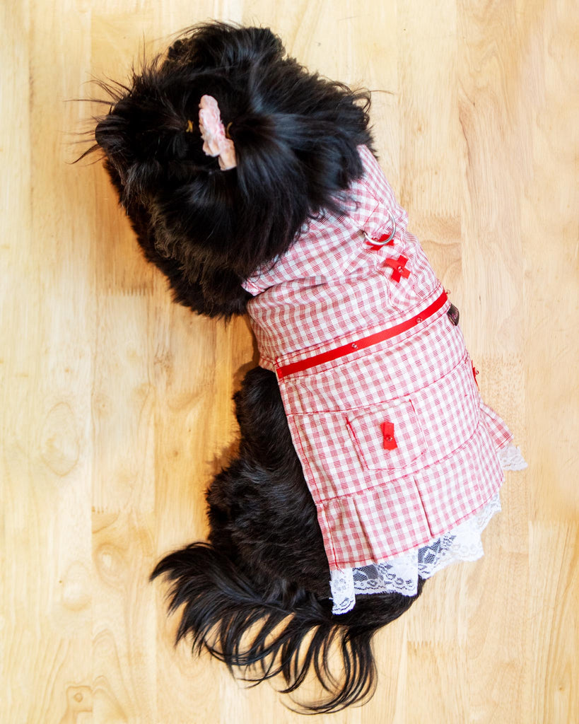 Red Check Picnic Dress for Dogs (FINAL SALE) Wear PARISIAN PETS   