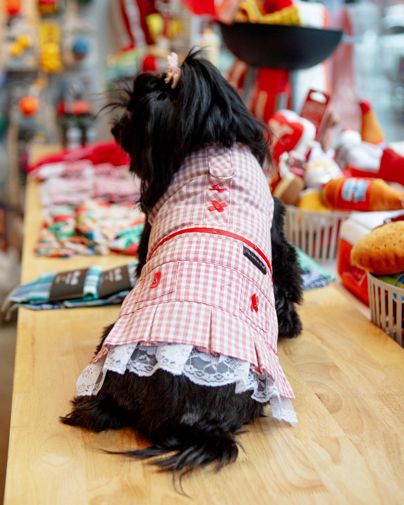 Red Check Picnic Dress for Dogs (FINAL SALE) Wear PARISIAN PETS   