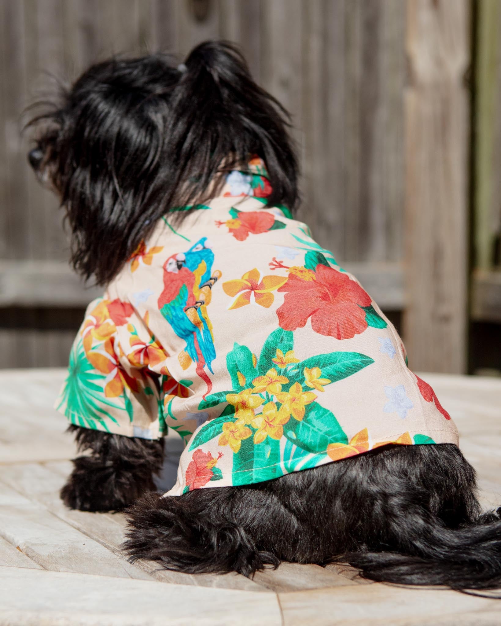 DOG & CO. | Quality Pet Products, In-Store & Online