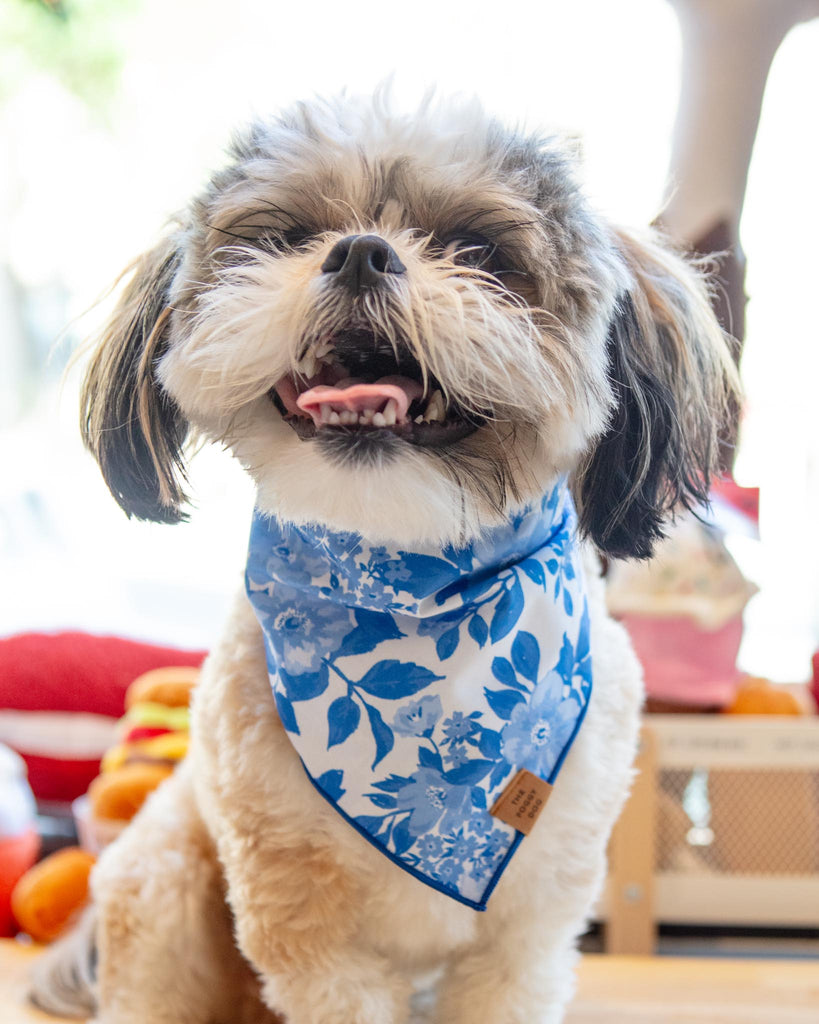 Blue Roses Spring Dog Bandana (Made in the USA) (FINAL SALE) Wear THE FOGGY DOG   