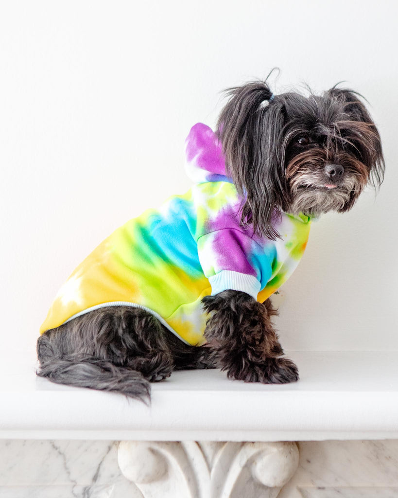 Tie Dye Dog Hoodie in Rainbow Wear SHANNA'S TIE DYE   