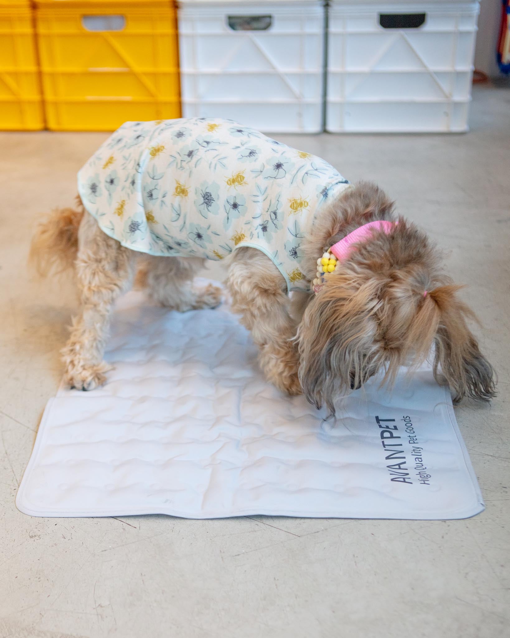 AVANPET Non Toxic Pet Cooling Mat Made in Korea DOG CO