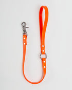 Traffic Leash in Neon Orange - 2' (Made in the USA)